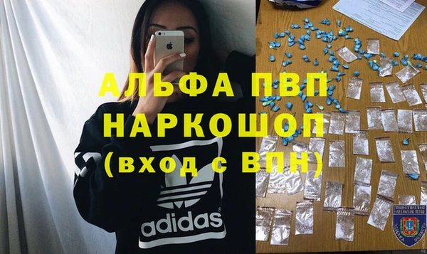 СК Алзамай
