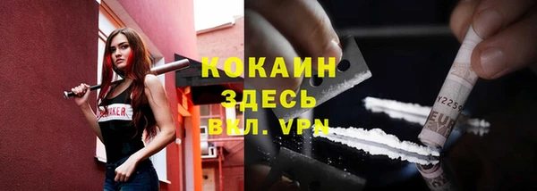 СК Алзамай
