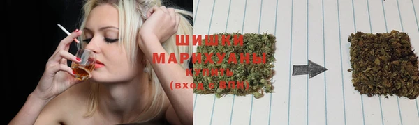 шишки Алексин