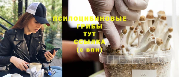 гидра Алексеевка